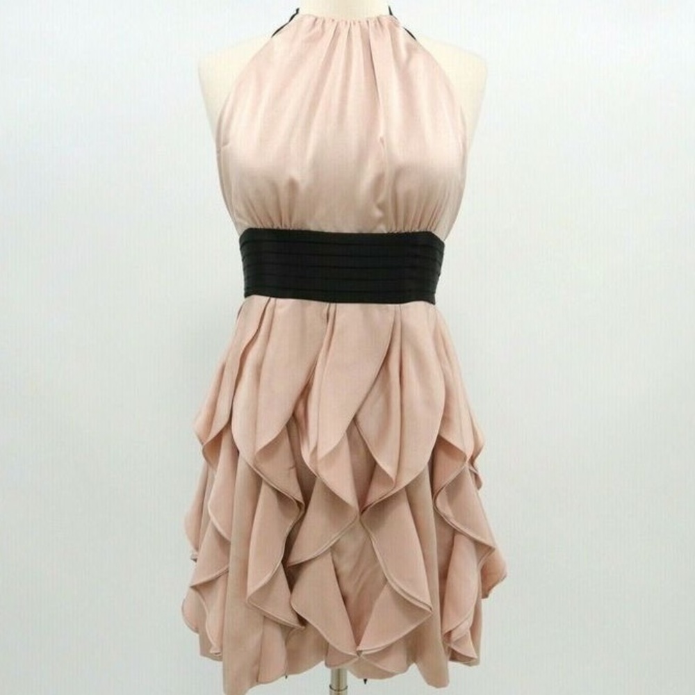 BCBGMaxAzria Ruffled Blush Cocktail Dress